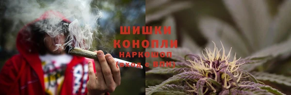 спайс Беломорск
