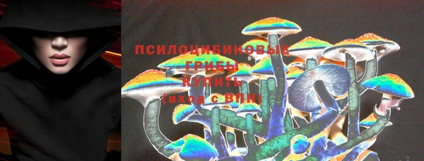 спайс Беломорск